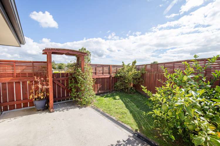 13a Madgwick Place Ngatea_18