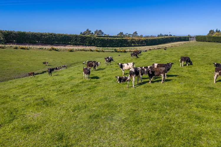 266 Rangiora Leithfield Road Sefton_15