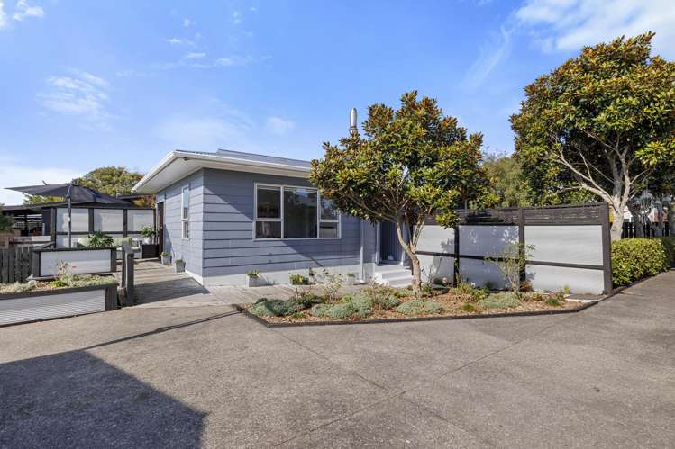 164 Rata Street Inglewood_14
