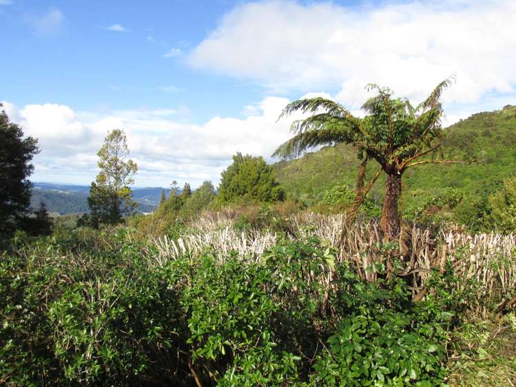 67 Onepoto Road Tuai_16