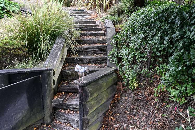 28 Ward Road Cheviot_28