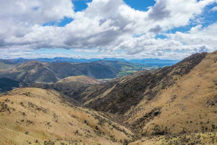 1731 Ram Paddock Road Ashley Forest_13