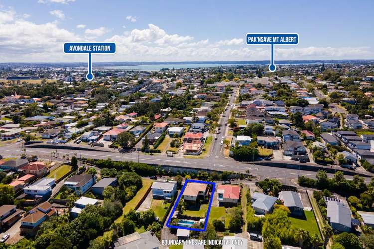 43 Tiverton Road Avondale_31