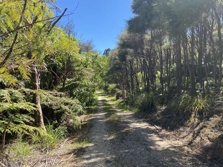 1864 Takaka-Collingwood Highway Milnthorpe_16