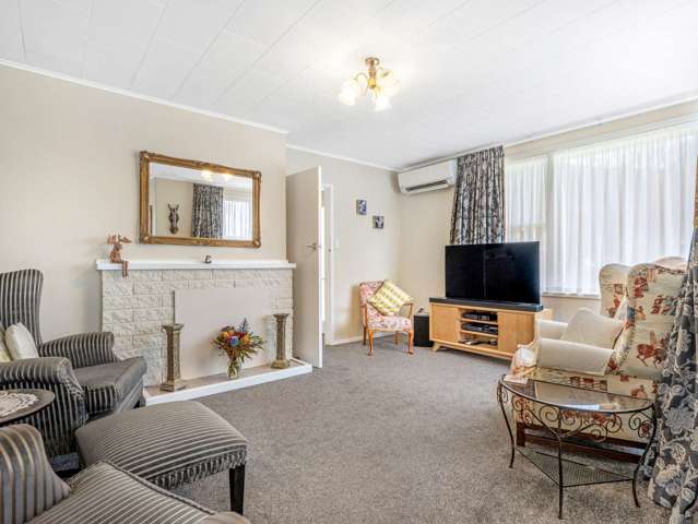 40 Roger Street Pukehangi_2