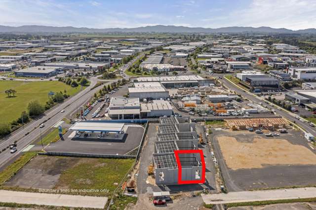 Unit 2 39 Karewa Place Te Rapa_2