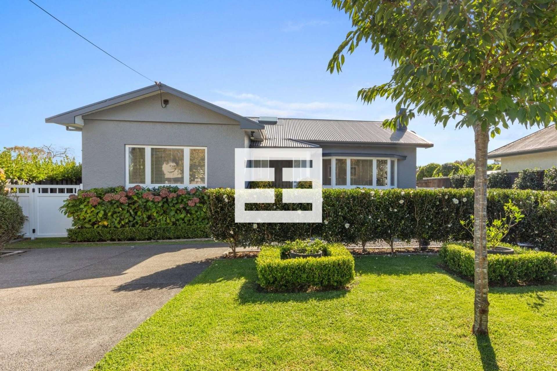 11 Alexander Street Tauranga South_0