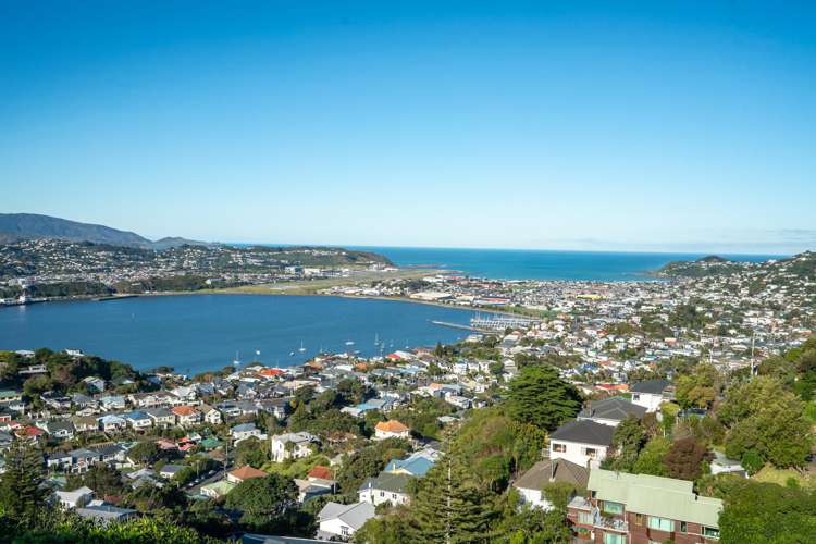 43 Alexandra Road Hataitai_2