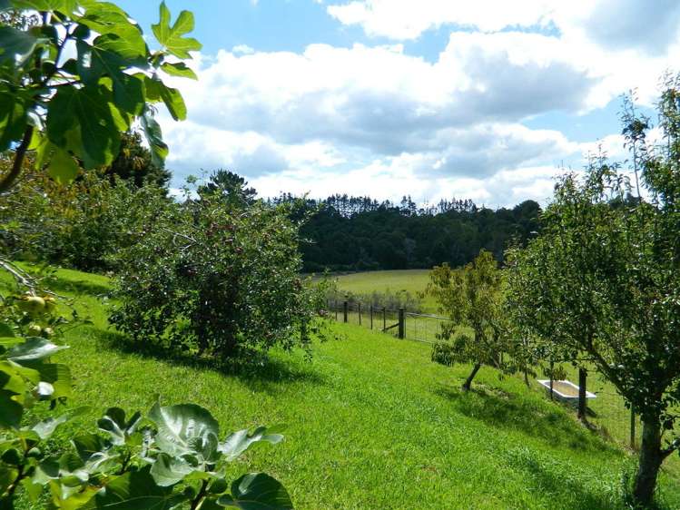 205a Onekura Road Kerikeri Surrounds_28