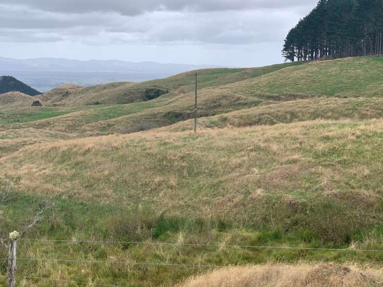 233 Goble Road Paeroa_1