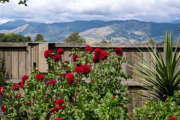 323 Appleby Highway Appleby_49