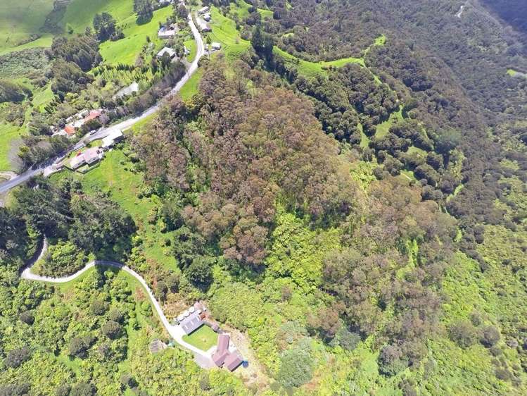 54 Foley Quarry Road Dairy Flat_4