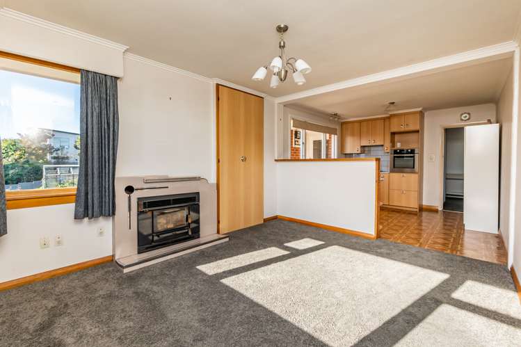 33 Selwyn Street Maori Hill_5