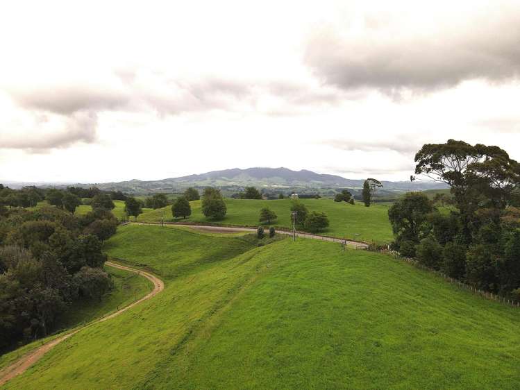 Taotaoroa Road Karapiro_11