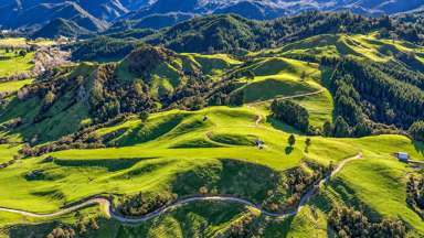 46 Hikuai School Road_1