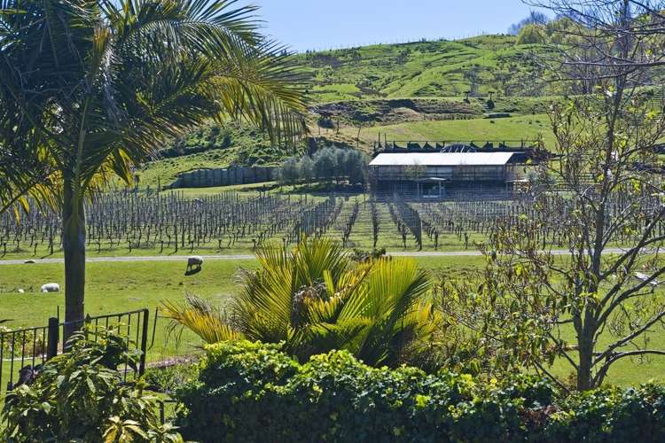 75 Waimata Valley Road Makauri_9