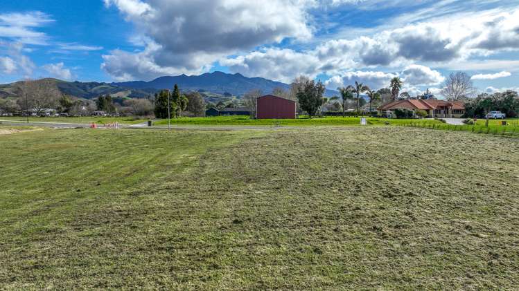 895 Collinson Street Pirongia_6