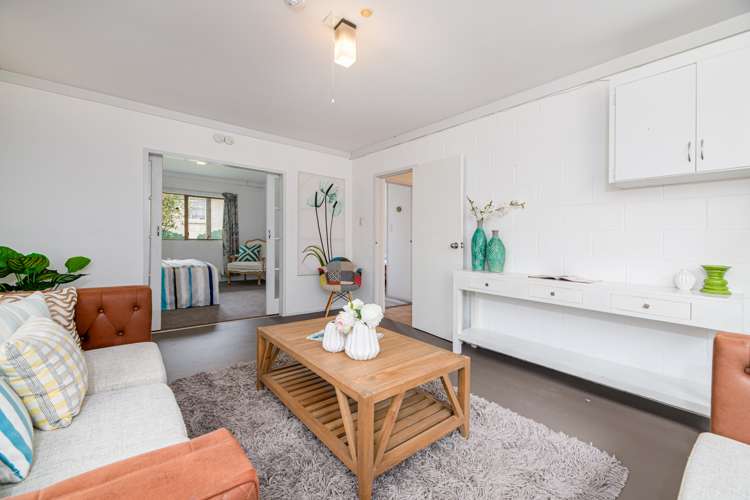 46 Spence Road Henderson_12