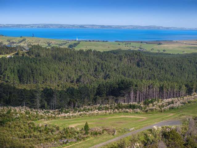 195 Tuhirangi Road Makarau_3