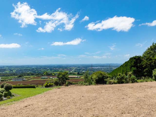 Often asked for …seldom for sale!