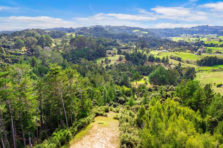 61 Alpine Road Kaukapakapa_17