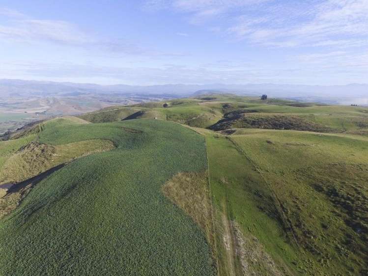 126 Mcphersons Road Taiko_38