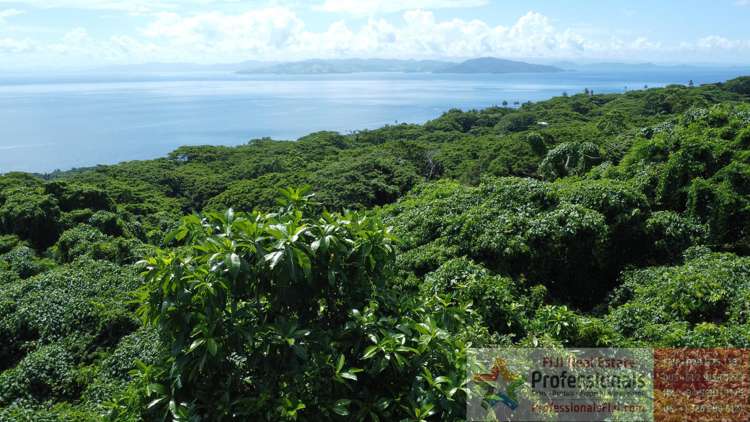 Address withheld Taveuni_8