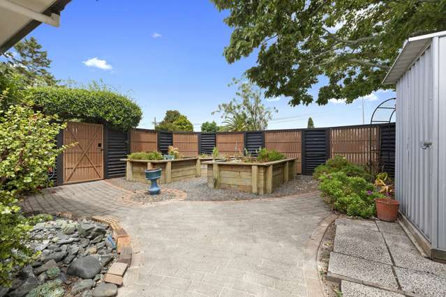 486 Devonport Road Tauranga South_1