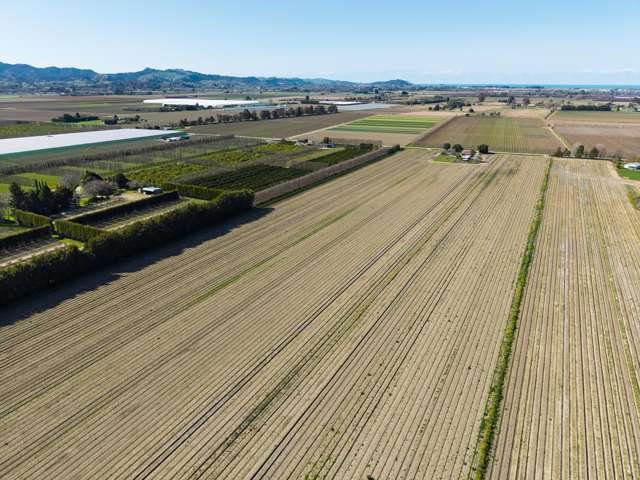 49 O'Grady Road Waerenga-A-Hika_2