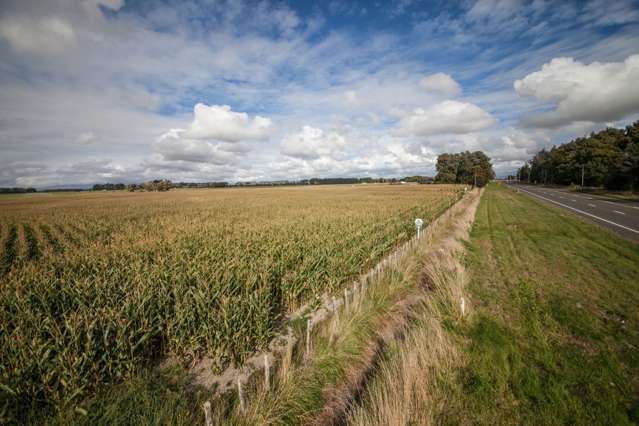 1228 Rangitikei Line Newbury_1