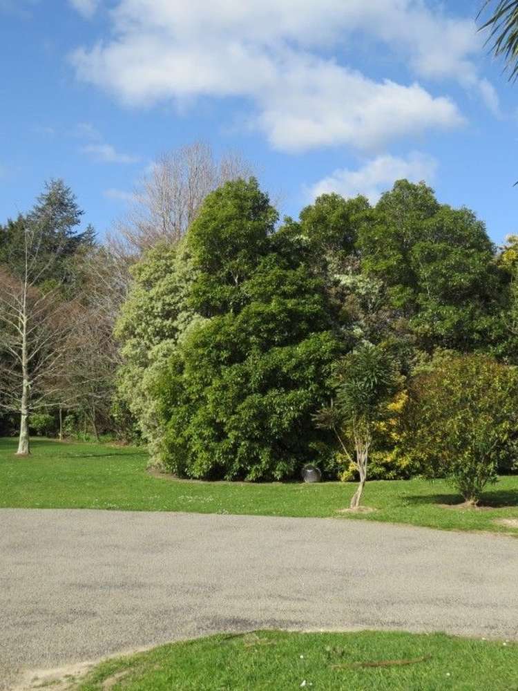 34 Tararua Street Pahiatua_8