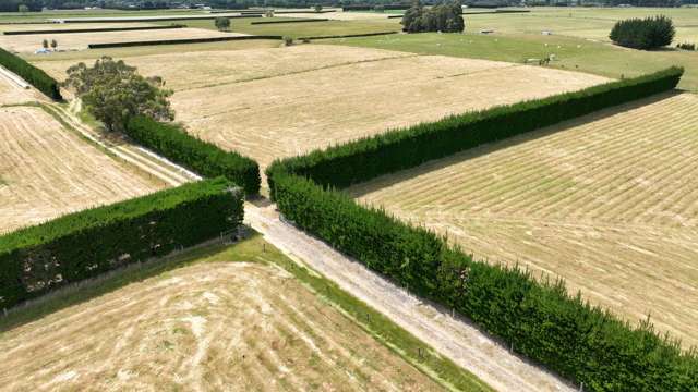 Lots 3 and 4 Beatties Road Ashley_4