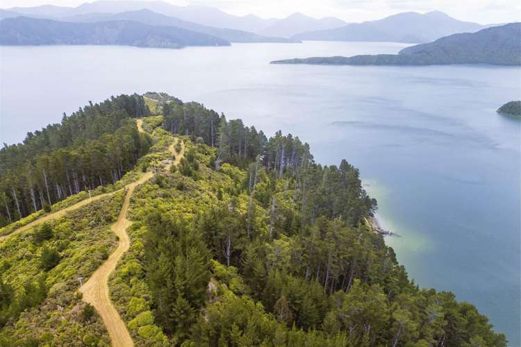 Lots 1 &amp; 2 0 Ahitarakihi Bay_2