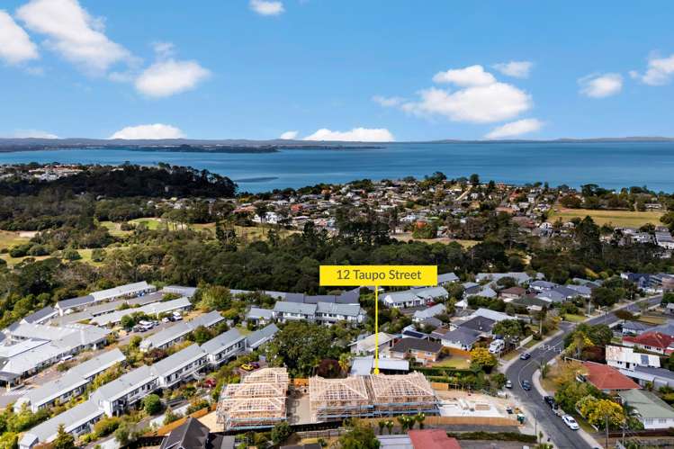 12 Taupo Street Green Bay_12