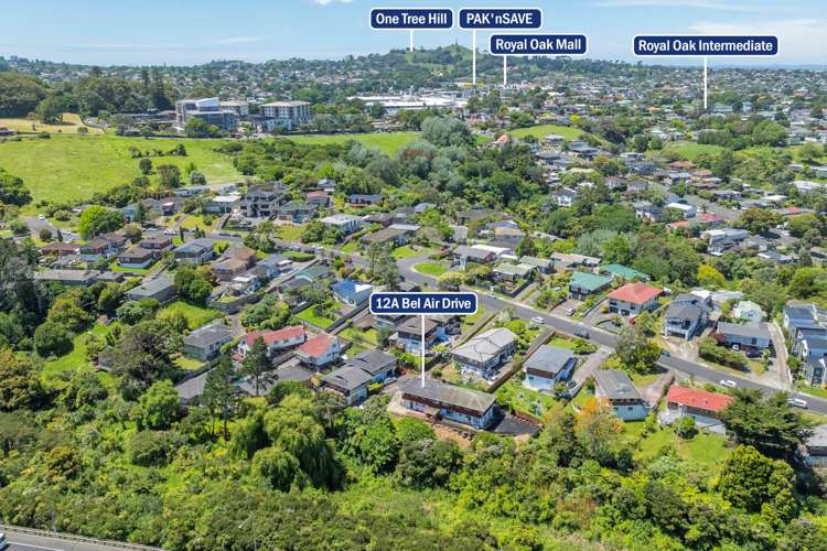 12a Bel Air Drive Hillsborough_19