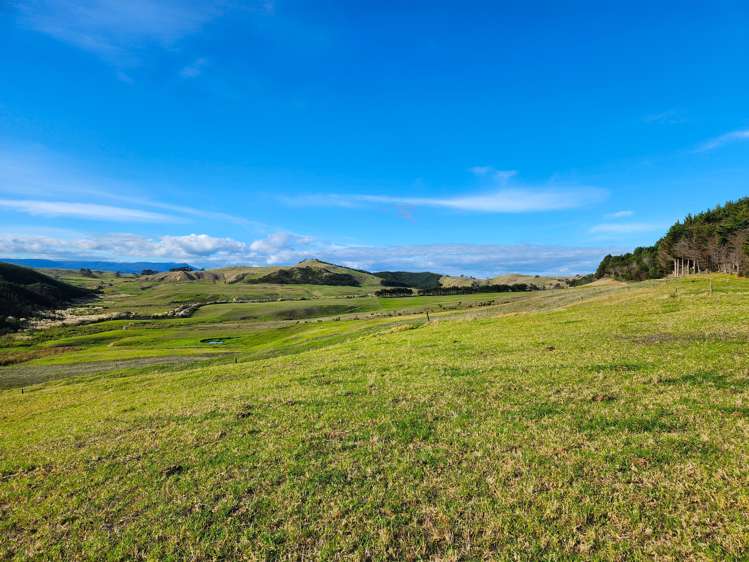 Babylon Coast Road Dargaville_18