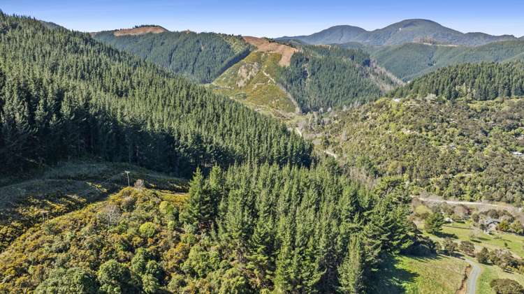 Lot Lot 2/207 Maitai Valley Road_3