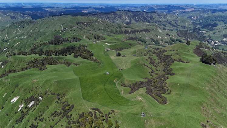 3104 Mangamahu Road Mangamahu_1