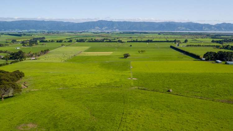 1972 Lake Ferry Road Pirinoa_16