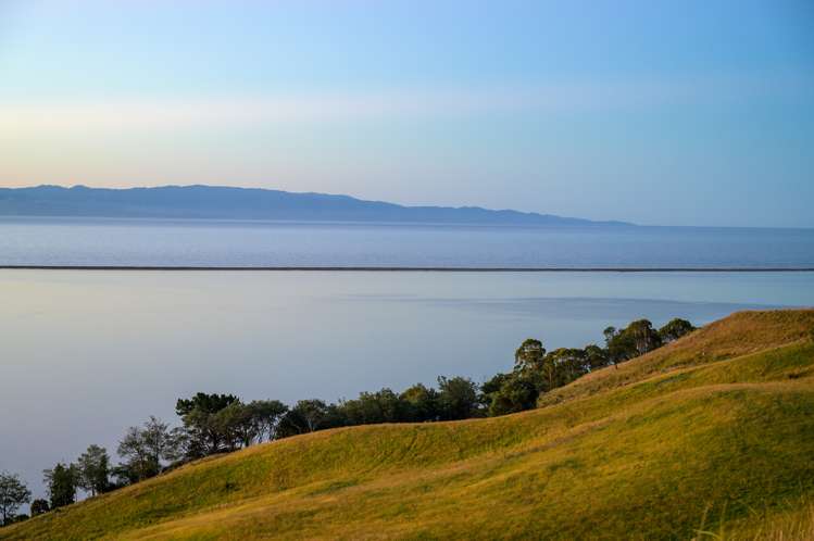 Bay View Road Atawhai_10