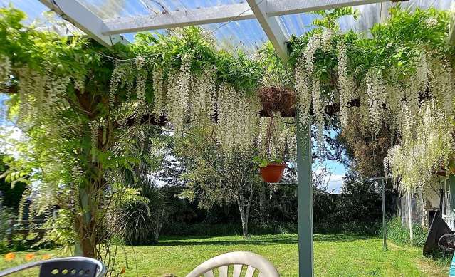 155 Regan Street Stratford_2