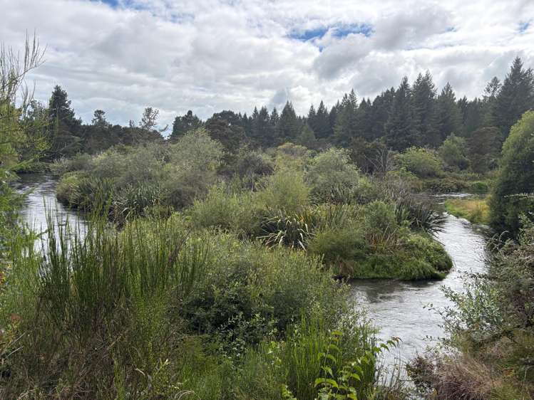 22 Peehimanini Road Waitahanui_15