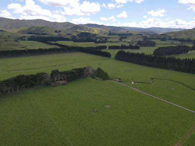 220 Larsen Road Eketahuna_4