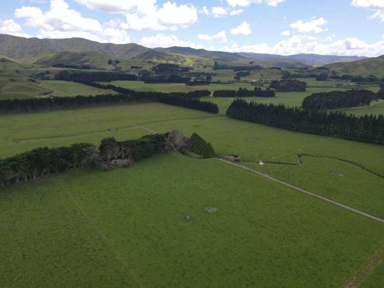 220 Larsen Road Eketahuna_4