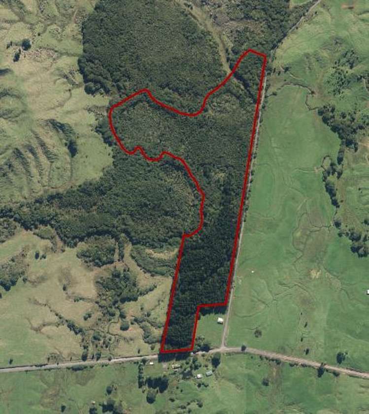 Waitaanga North Road Ohura_5