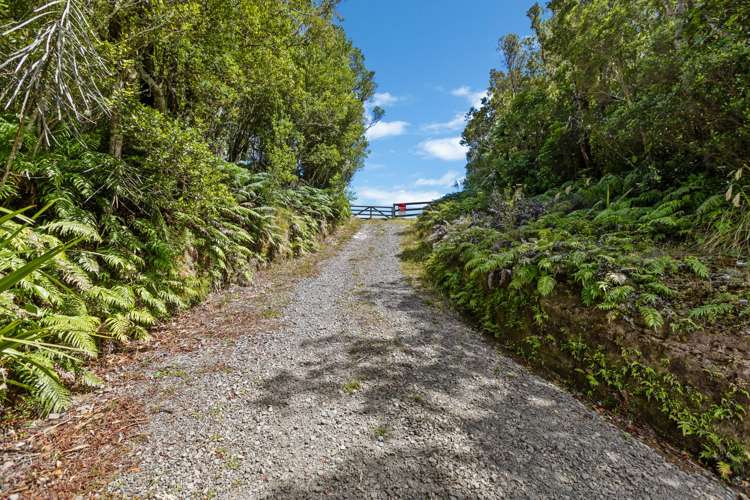 1878 Mangorei Road Mangorei_11