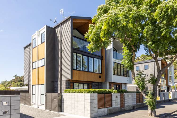 3a Coronation Street Ahuriri_22