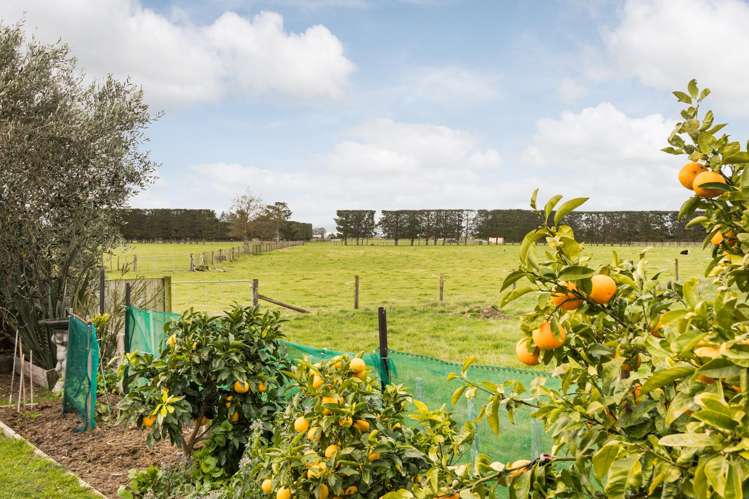 18 Accolade Street Feilding_23