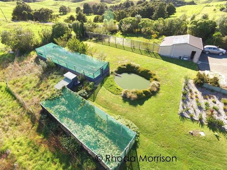 208 Heatley Road Whakapirau_14