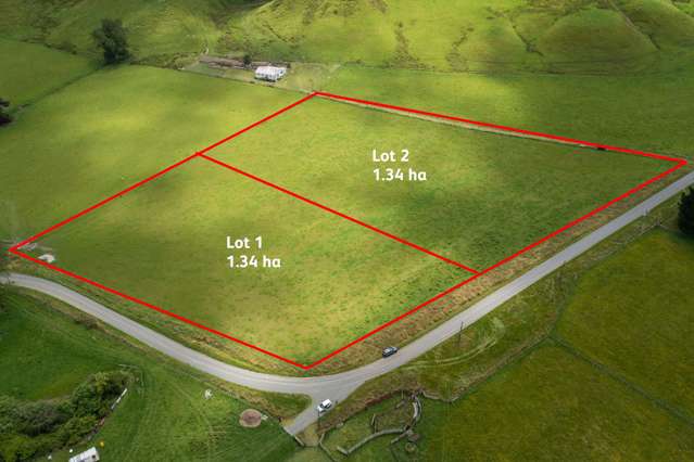 Lot 1 Beaconsfield Valley Road Waituna West_3